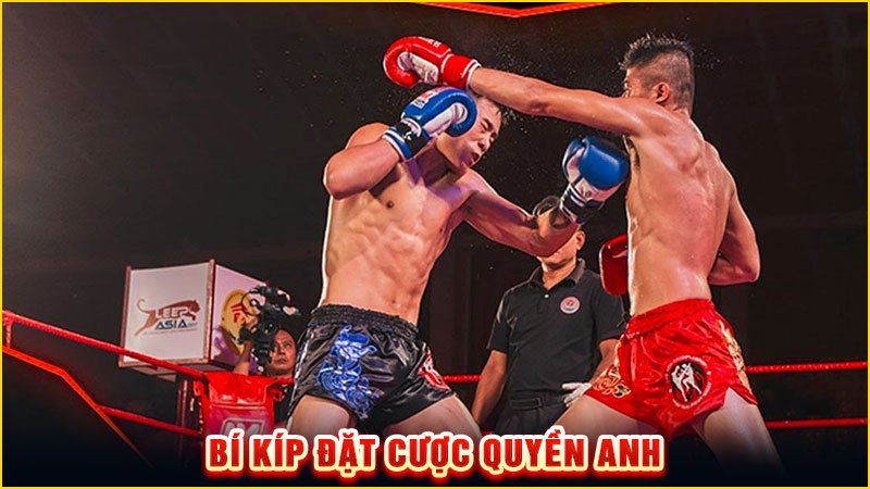 bí kíp đặt cược quyền anh