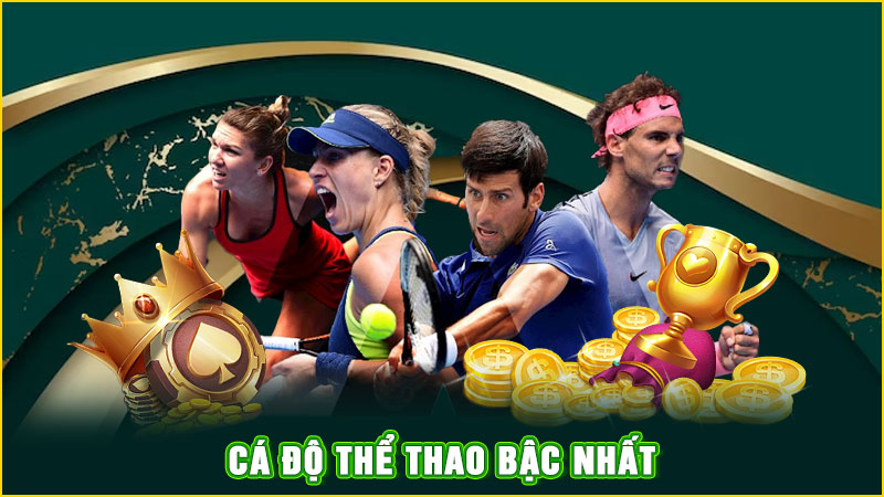 cá độ thể thao bậc nhất