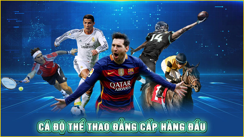 cá độ thể thao đẳng cấp hàng đầu