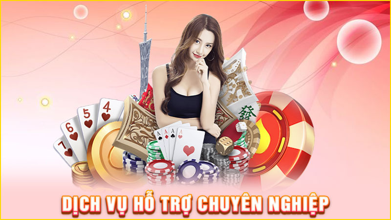dịch vụ hỗ trợ chuyên nghiệp