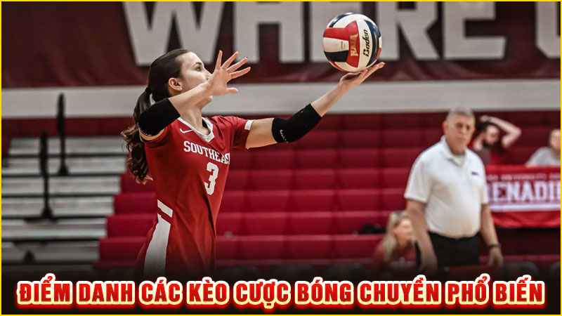 điểm danh các kèo cược bóng chuyền phổ biến