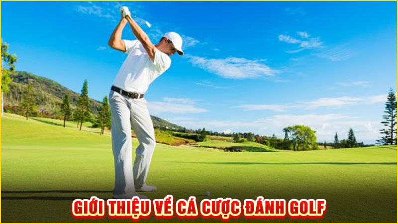 giới thiệu về cấ cược đánh golf