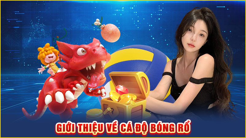 giới thiệu về cá độ bóng rổ