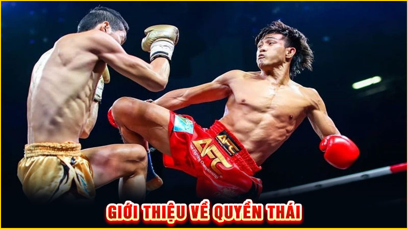 giới thiệu về quyền thái