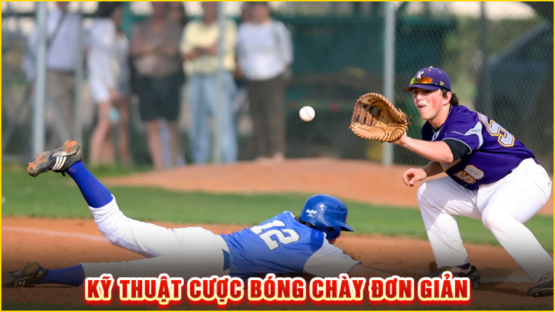 kỹ thuật cược bóng chày đơn giản