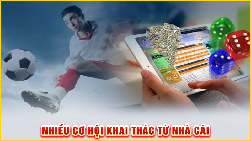 nhiều cơ hội khai thác từ nhà cái
