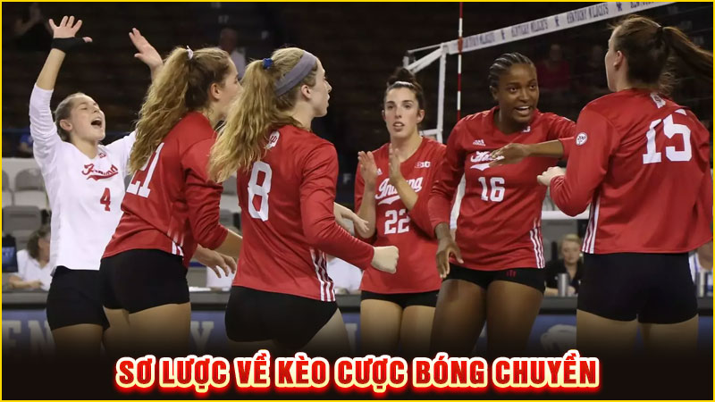 sơ lược về kèo cược bóng chuyền