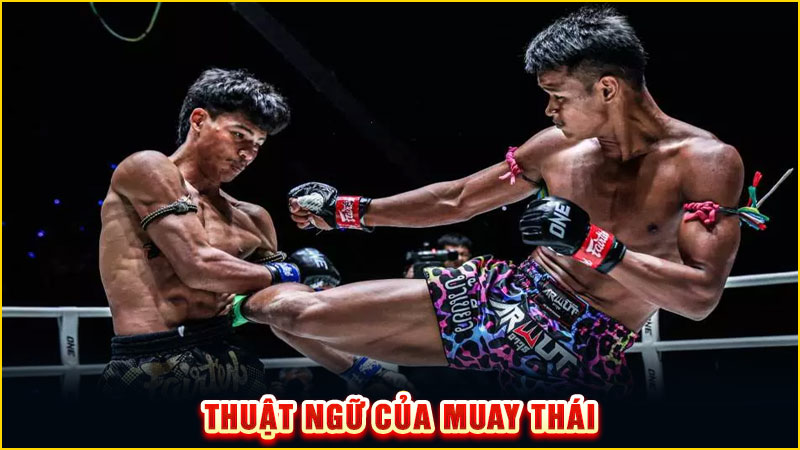 thuật ngữ của muay thái