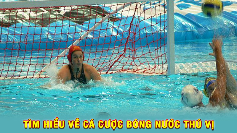 tìm hiểu về cá cược bóng nước thú vị