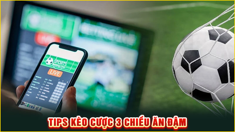 tips kèo cược 3 chiều ăn đậm