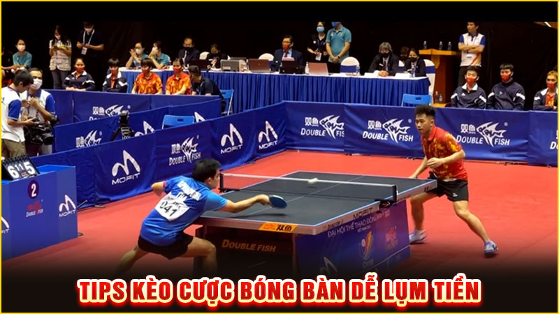 tips kèo cược bóng bàn dễ lụm tiền